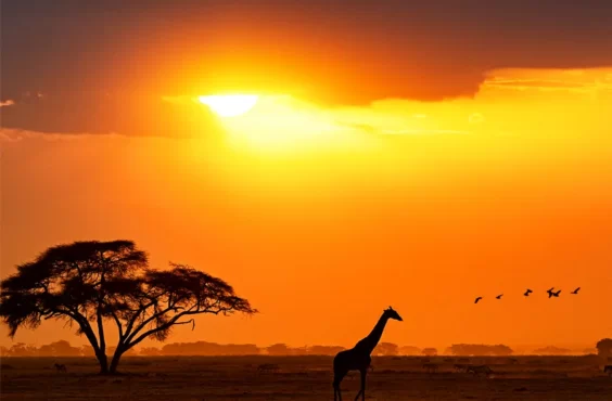 Kenia, Africa